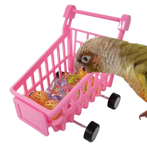 Papageien-Einkaufswagen, Vogeltrainingsspielzeug | Conure Trolley-Spielzeug zum Spielen und Trainieren | Vogelpapagei-Puzzlespielzeug, Einkaufswagen, Ballspielzeug, Vogelpädagogisches Trainingsspielze von GZBMEZS