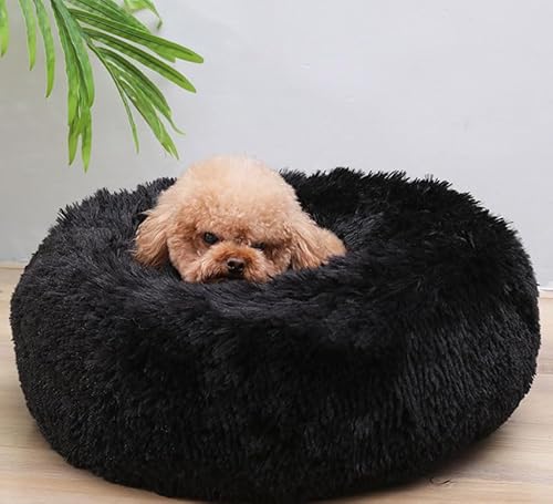 GZDZ Plüsch-Haustiermatte, bequemes und weiches Haustierbett, für Katzen und Hunde, universal, verdickte Matte, warmer Ruhebereich für Haustiere (40 cm, A3) von GZDZ