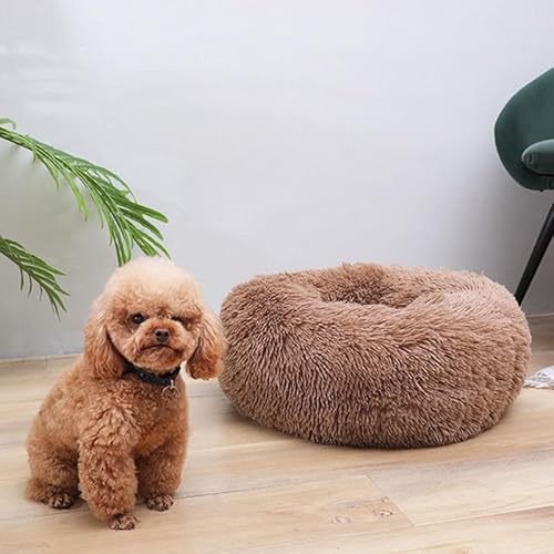 GZDZ Plüsch-Haustiermatte, bequemes und weiches Haustierbett, für Katzen und Hunde, universal, verdickte Matte, warmer Ruhebereich für Haustiere (60 cm, A4) von GZDZ