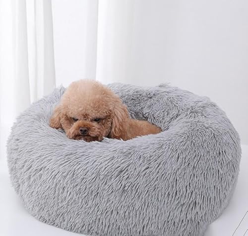 GZDZ Plüsch-Haustiermatte, bequemes und weiches Haustierbett, für Katzen und Hunde, universal, verdickte Matte, warmer Ruhebereich für Haustiere (70 cm, A2) von GZDZ