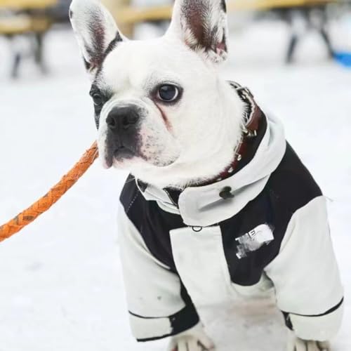 GZDZ Stylischer Winter-Boxmantel für Schnauzer, Teddybären, Bibi-Hunde, Falken und klein-mittelgroße Rassen (M) von GZDZ