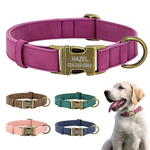 Hundehalsband - Premium Lederhalsband mit personalisierbarem, graviertem Namensschild - Hunde Halsband für Kleine und Große Hunde, Verstellbares, Gepolstertes von GZYZXP