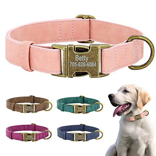 Hundehalsband - Premium Lederhalsband mit personalisierbarem, graviertem Namensschild - Hunde Halsband für Kleine und Große Hunde, Verstellbares, Gepolstertes von GZYZXP