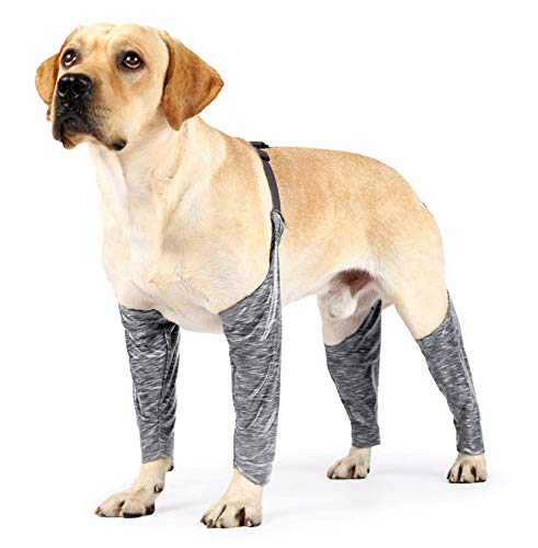 GabeFish Hundeärmel, verhindert Lecken, Pinkeln, Auslaufen, Staub, Schmutz, lange Hose, Leggings für kleine, mittelgroße und große Haustiere, Grau, Größe XS von GabeFish