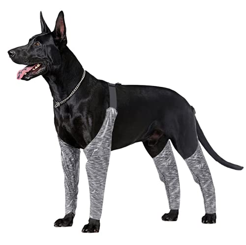 Hundehose zur Verhinderung von Lecken, für kleine, mittelgroße und große Rassen, verstellbare Hunde-Leggings, Leggings für Haustiere, Grau, Größe XL von GabeFish