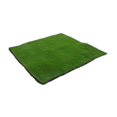 Gadpiparty Simulation Moos Rasen Grasmatte Moos Einfach So Tun Künstlicher Teppich Fake-grasmatten-Teppich Gefälschtes Grasmattenmoos Grünes Grasmoos Outdoor-Teppich Teppiche Green Plastik von Gadpiparty