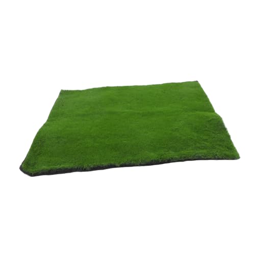 Gadpiparty Simulation Moos Rasen einfach so tun Teppiche grünes Grasmoos Outdoor-Teppich Moos Teppich Kunstmoos für Garten Grasgrün -Moos -Teppich künstliche grüne Grasmatte Plastik Green von Gadpiparty