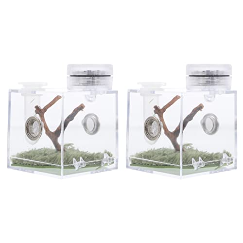 Gadpiparty Kasten Springspinnen-zuchtbox Micro-Habitat-terrarien Springender Spinnenkäfig Mikrolebensraum Der Spinne Mini-tierwächter Reptilien Terrarien Acryl Insekt Kleine Spinne Holz von Gadpiparty