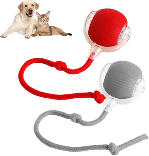 Gahwa Interaktives Katzenballspielzeug, Interaktives Katzenspielzeug mit USB,Hundeballspielzeug,Intelligente Hindernisvermeidung Katzenspielzeug Elektrisch Ball,Hundeballspielzeug (Red+Gray) von Gahwa