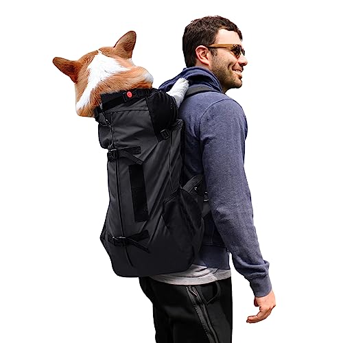 Galatée Hunde -Rucksack, Hundeträger Verstellbarer Rucksack, Vollständig Belüftet, Hundeträgertasche, Haustier -Rucksack Für Das Gehen Im Freien Im Freien, Das Bergklettern Zu Gehen(Schwarz) von Galatée