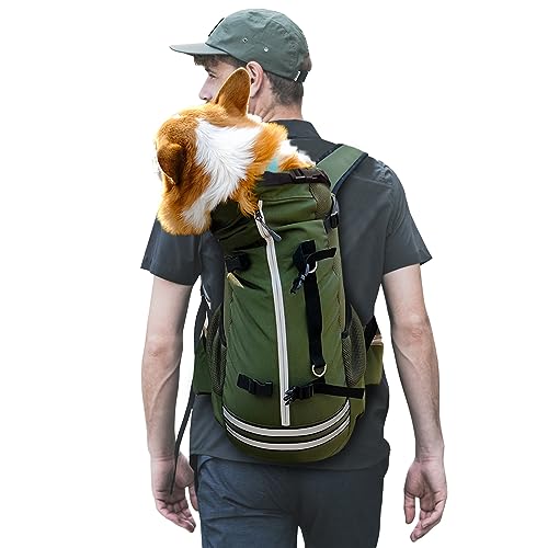 Galatée Hunde -Rucksack, Hundeträgerhund -Rucksack Für Die Meisten Hundegrößen, Einstellbarer Haustier -Rucksackträger, Ideal Zum Reisen, Wandern, Camping(L, Dunkelgrün) von Galatée