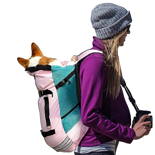 Galatée Hunde -Rucksack, Hundeträgerhund -Rucksack Für Die Meisten Hundegrößen, Einstellbarer Haustier -Rucksackträger, Ideal Zum Reisen, Wandern, Camping(L, Rosa) von Galatée