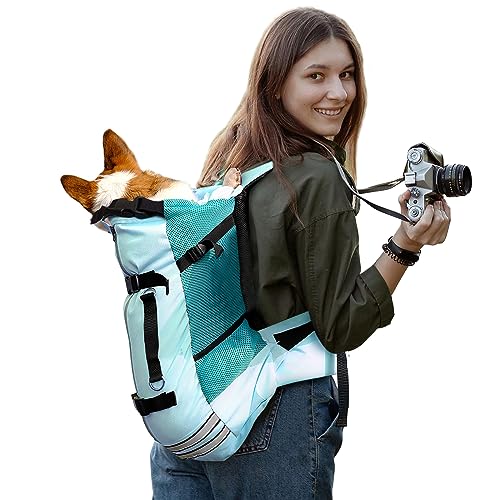 Galatée Hunde -Rucksack, Hundeträgerhund -Rucksack Für Die Meisten Hundegrößen, Einstellbarer Haustier -Rucksackträger, Ideal Zum Reisen, Wandern, Camping(M, Blau) von Galatée