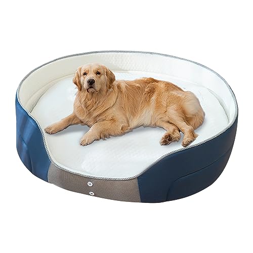 Galatée Hundebett, Hundeschlafsofa Mit Zusätzlicher Kopf- Und Nackenstütze, Weiches Und Bequemes Katzenbett, Hundematte Für Guten Halt, Haustierbett Für Kleine Mittelgroße Hunde(L, Blaue Nähte) von Galatée