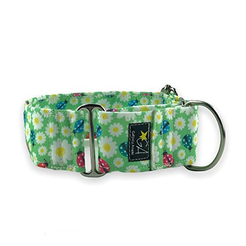 Galguita Amelie Martingale Hundehalsband, Ladybug, 3 cm breit, Größe S (20-29 cm Umfang) von Galguita Amelie