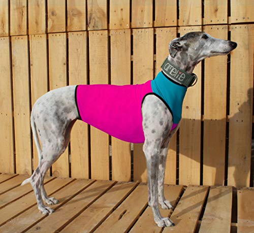 Galguita Amelie Peto Lycra für Galgo, Rosa und Blau, Größe L von Galguita Amelie