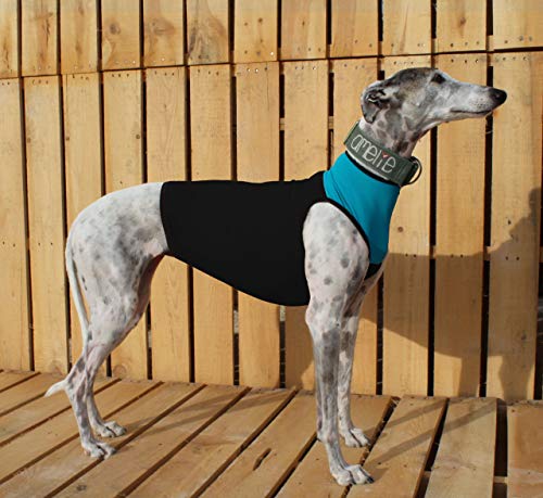 Galguita Amelie Peto Lycra für Galgo - Sterne und Grün, Größe S (57-66 cm Durchmesser Brust) von Galguita Amelie