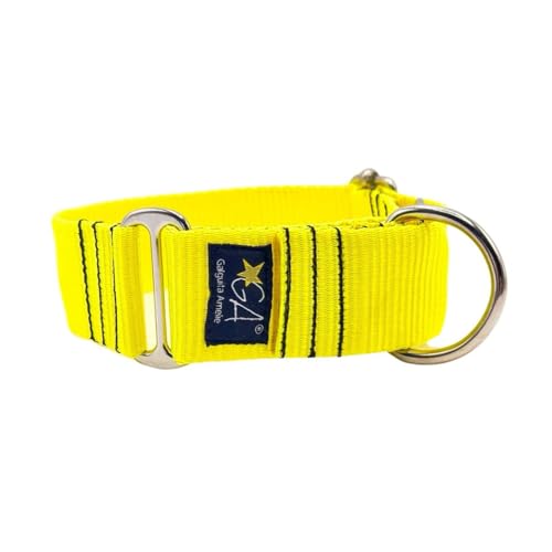 Martingale-Halsband, hautfarben, Neongelb, 4 cm, Größe L von Galguita Amelie