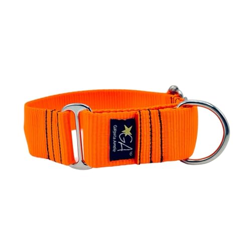 Martingale-Halsband, hautfarben, Neonorange, 4 cm, Größe XL von Galguita Amelie