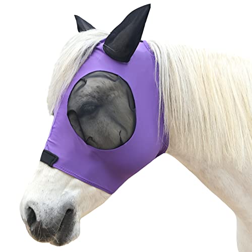 Gallopoff Fliegenmaske für Pferde, Fliegenmasken für Pferde mit Ohren, super Komfort & dehnbare Passform, Lycra Equine Fliegenmaske Violett Pony von Gallopoff