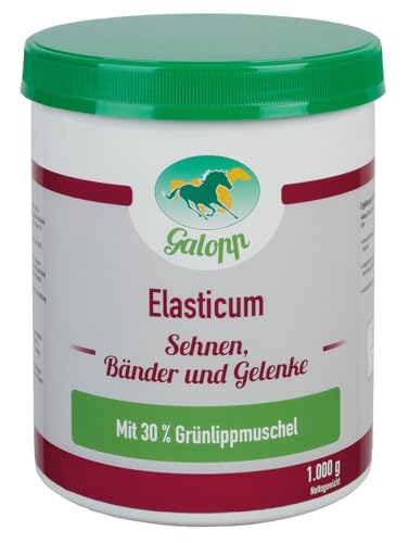 Galopp Elasticum 1 kg Für Sehnen, Bänder und Gelenke von Galopp