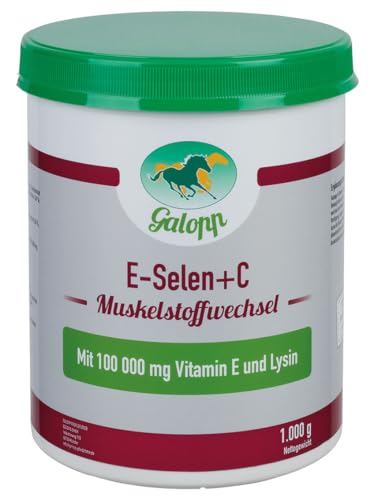 Galopp Vitamin E-Selen+C 1 kg Muskelbildung & -stoffwechsel von Galopp