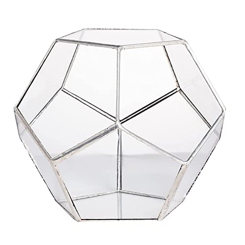 Ganekihedy Handgefertigtes Pentagon Glas Geometrische Terrarium Garten Display Blumen Topf Drinnen Draussen Tischplatte HerzstüCk Pflanzer von Ganekihedy