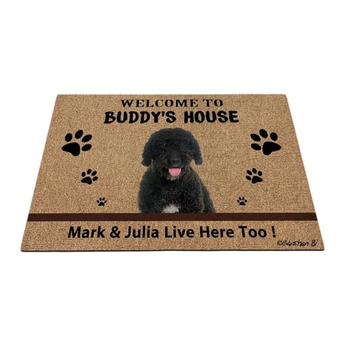 Ganshan Bi Fußmatte mit Aufschrift "Welcome to Dog's House", lustiges Haustierpfoten-Design, Geschenk für Hundeliebhaber, 60 x 40 cm von Ganshan Bi