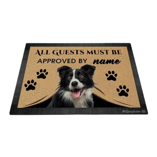 Ganshan Bi Fußmatte mit lustigem Border Collie, Aufschrift "All Guests Must Be Approach", Fußmatte, Heimdekoration, Geschenk für Hundeliebhaber, 60 x 40 cm, Stil 1 von Ganshan Bi