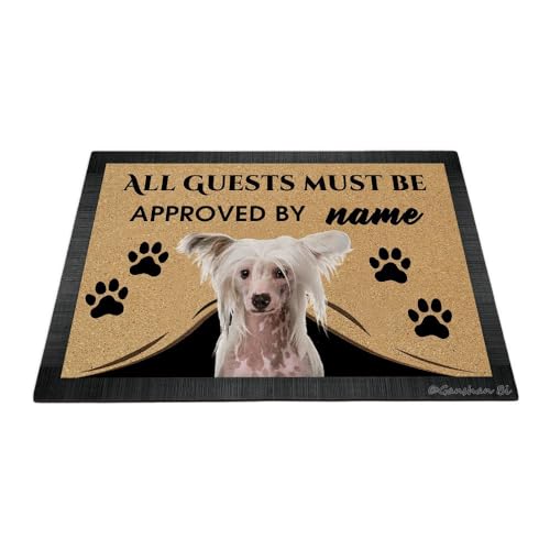 Ganshan Bi Fußmatte mit lustigem chinesischem Schopfhund, Aufschrift "All Guests Must Be Approach", Fußmatte, Heimdekoration, Geschenk für Hundeliebhaber, 60 x 40 cm, Stil 1 von Ganshan Bi