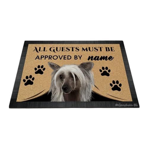 Ganshan Bi Fußmatte mit lustigem chinesischem Schopfhund, Aufschrift "All Guests Must Be Approach", Fußmatte, Heimdekoration, Geschenk für Hundeliebhaber, 60 x 40 cm, Stil 2 von Ganshan Bi