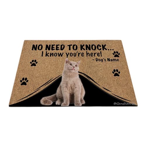 Ganshan Bi Fußmatte mit lustiger britischer Kurzhaar-Katze, personalisierbar, Aufschrift "No Need to Knock I Know You're Here", Geschenk für Katzenliebhaber, 89,9 x 60 cm, Stil 1 von Ganshan Bi