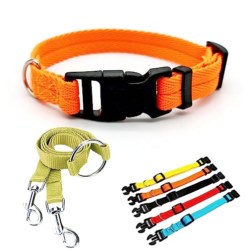 Verstellbares und langlebiges Nylon-Haustierhalsband mit Sicherheitsschnalle und Nylon-Doppelverschluss-Haustier-Traktionsseil, geeignet für kleine und mittelgroße Haustiere (L, Orange) von : GaoBangM