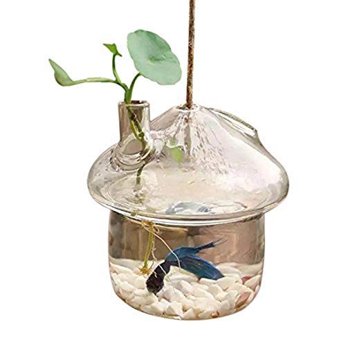 Gaoominy Pilz F？rmige H？ngende Glas Pflanzer Vase Rumpeln Fisch Aquarium Terrarium Container Haus Garten Dekoration von Gaoominy