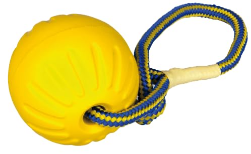 Starmark STA21 Trainingsball klein 7 cm mit rundem Seil aus Durafoam für Hundetrainer von Gappay