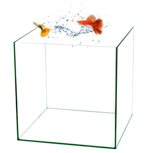Würfel Aquarium 35x35x35 Becken Glasbecken 35 Glasaquarium Garnelen Aquarium Nano Aquarium Aufzuchtbecken Würfel Aquarium 35x35x35 Becken Glasbecken 35 Glasaquarium Garnelen Aquarium Nano Aquarium Aufzuchtbecken von GarPet