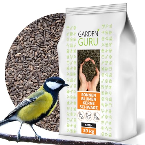 Schwarze Sonnenblumenkerne 30 kg Wildvogelfutter ganzjähriges Futter Vogelfutter Jungtiere geeignet Winterfutter 30kg Ernte 2024 von GardenGuru