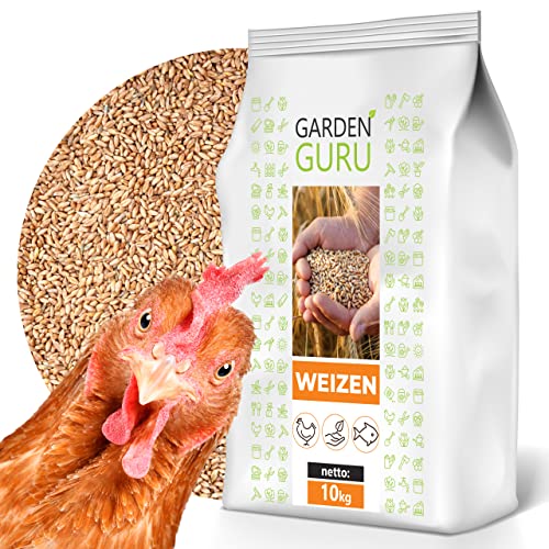 GardenGuru Weizen Futter 10kg Huhnerfutter Nagerfutter, Kaninchenfutter Weizenkörner Getreide Korn Essen Wildvögel Kaninchenfutter von GardenGuru