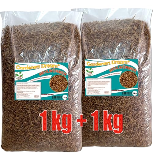 Gardeners Dream getrocknete Mehlwürmer in 1+1kg Abpackung, Protein- und fettreich, verfeinert und gesiebt, für Fische, Nager, Vögel, Reptilien, auch Koifutter oder Igelfutter von Gardeners Dream