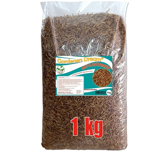 Gardeners Dream getrocknete Mehlwürmer in 1kg Abpackung, Protein- und fettreich, verfeinert und gesiebt, für Fische, Nager, Vögel, Reptilien, auch Koifutter oder Igelfutter von Gardeners Dream