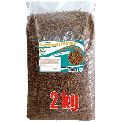 Gardeners Dream getrocknete Mehlwürmer in 2kg Abpackung, Protein- und fettreich, verfeinert und gesiebt, für Fische, Nager, Vögel, Reptilien, auch Koifutter oder Igelfutter von Gardeners Dream