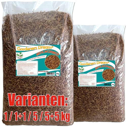 Gardeners Dream getrocknete Mehlwürmer in 5kg Abpackung, protein- und fettreich, verfeinert und gesiebt, für Fische, Nager, Vögel, Reptilien, auch Koifutter oder Igelfutter von Gardeners Dream