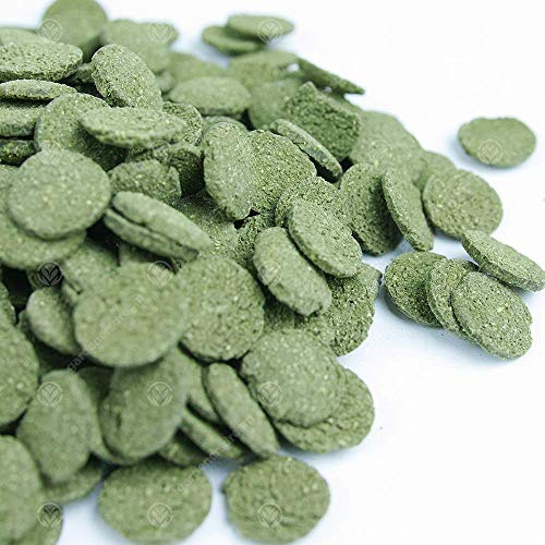 GardenersDream Premium Spirulina Algen Waffeln Komplettes Aquarium Fischfutter von GardenersDream