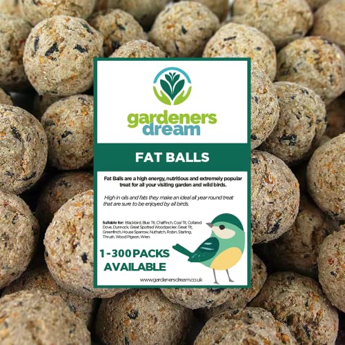 GardenersDream Meisenknödel ohne Netz - Premium-Vogelfutter für Wildvögel, verbesserte Wildvogelfutter Ganzjahres-Formel & proteinreiches Futter, nahrhafter Fettfutter (50 Stück pro Schachtel) von GardenersDream