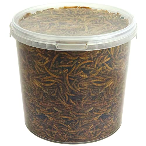 GardenersDream getrocknete Mehlwürmer - Narhafte wildes Garten Vogelfutter (1L) von GardenersDream