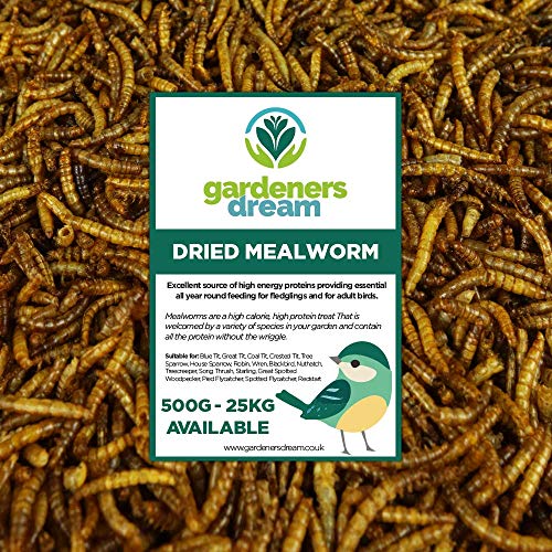 GardenersDream getrocknete Mehlwürmer- Narhaftes wildes Garten Vogelfutter (10KG) von GardenersDream