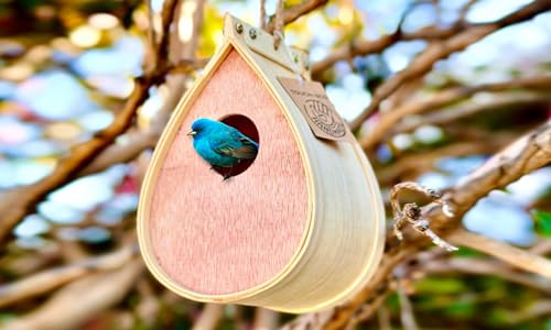 Bestäubungspalast - Vogelhaus aus Holz zum Aufhängen, für den Außenbereich, Vogelhaus für Bluebirds und Finkenkardinäle, Vogelhaus Nistkasten für Wildvögel von GardeningProducts4Less