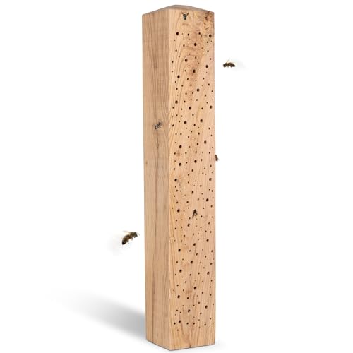 GARDIGO® Insektenhotel für Wildbienen | Unikat Bienenhotel Stamm ca 70 cm aus massivem Eichenholz | Nisthilfe für Wildbienen und Solitär-Wespen | Deko-Säule | Made in Germany | Naturprodukt von Gardigo
