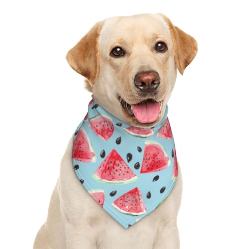 Sommerhalstuch für Hunde, Wassermelonen-Motiv, blaue Früchte, Dreiecks-Lätzchen, Haustierzubehör, Katzentuch von Garlaibi