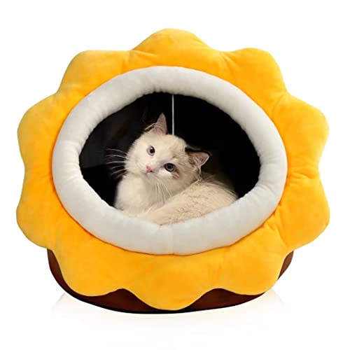 Katzenbetten für Indoor-Katzen – kleines Katzenbett mit rutschfester Unterseite, Sonnenblumenförmige Katzen-/Hundehöhle mit hängendem Spielzeug, super weich beruhigend, mehrere Größen (braunL) von Garlifden